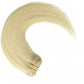 Platinum Blonde Clip In Hair Extensions 120g set
